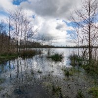 Через край... :: Николай Гирш