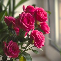 В ожидании тепла и солнца... :: Магомед .