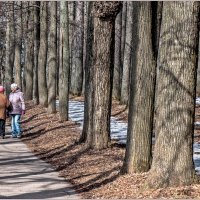 Под апрельским солнцем... :: Aquarius - Сергей Под апрельским солнцем... :: Aquarius - Сергей