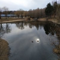 Одна маленькая, но гордая птичка сказала: "Лично я поплыву прямо на Солнце" :: Андрей Лукьянов Одна маленькая, но гордая птичка сказала: "Лично я поплыву прямо на Солнце" :: Андрей Лукьянов