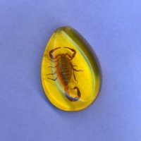 Sc :: Андрей Л. В.