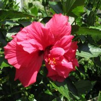 Мармарис  июнь  Турция :: Елена Шаламова