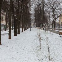 Апрельская погода :: Александр Синдерёв