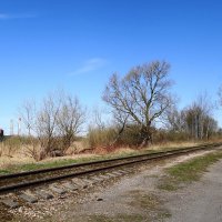 Городские окраины :: Рита Симонова