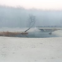 Белый туман :: Сергей Карачин Белый туман :: Сергей Карачин