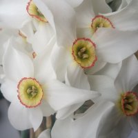 ,,, :: Сергей Тимоновский