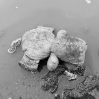 Конц эпохи детства. :: Игорь Солдаткин