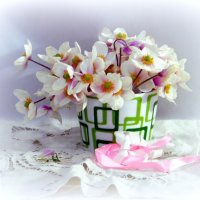 Ветреница. :: nadyasilyuk Вознюк Ветреница. :: nadyasilyuk Вознюк