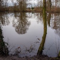 На загородном пруду... :: Николай Гирш