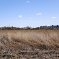 Городские окраины :: Рита Симонова