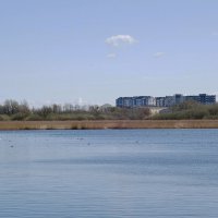 Городские окраины :: Рита Симонова