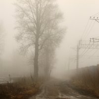 утро :: Александр 