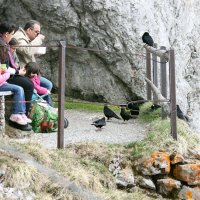 Разные люди, на Пилатус :: ZNatasha -