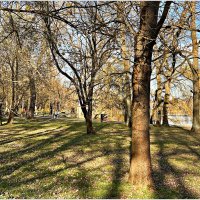 Весна в парке. :: Валерия Комова