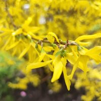 ,,, :: Сергей Тимоновский