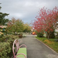 Осеннее настроение :: Дмитрий Петров Осеннее настроение :: Дмитрий Петров