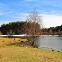 Оттаявший берег :: Андрей Снегерёв