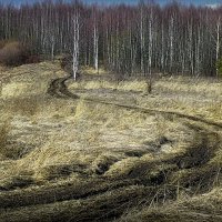 Эх дороги вы дороги... :: Владимир Шошин Эх дороги вы дороги... :: Владимир Шошин