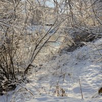 Зимний берег реки :: Александр Синдерёв