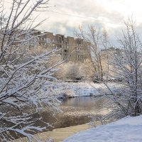 Природа зимы на городской реке :: Александр Синдерёв