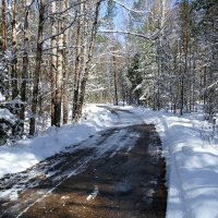Это не зима, это апрель. :: Милешкин Владимир Алексеевич 