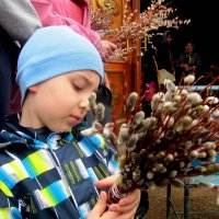 Вербное воскресенье :: Татьяна Лютаева