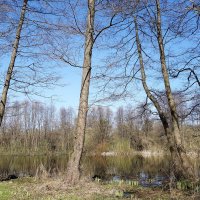 Апрель :: Рита Симонова Апрель :: Рита Симонова