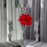 Зеркальные отражения зла и добра. :: Ivan VIKAR