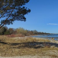 весна :: ИННА ПОРОХОВА