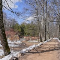 В весеннем парке... :: Владимир Жданов В весеннем парке... :: Владимир Жданов
