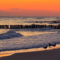 В ожидание солнца :: Юрий. Шмаков В ожидание солнца :: Юрий. Шмаков