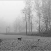 В любую погоду !! :: Aleksandr Gal