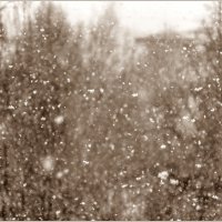 Прошлогодний снег... :: Aquarius - Сергей