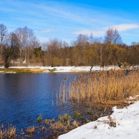 Весна на Смоленщине (репортаж из поездок по области). :: Милешкин Владимир Алексеевич Весна на Смоленщине (репортаж из поездок по области). :: Милешкин Владимир Алексеевич