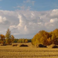 Осени картина. :: nadyasilyuk Вознюк Осени картина. :: nadyasilyuk Вознюк