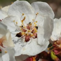 ... :: Сергей Тимоновский