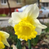 ... :: Сергей Тимоновский