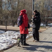 Весенние :: юрий поляков