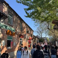 Весна в Китае :: Ирэн 