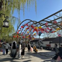 Весна в Китае :: Ирэн 