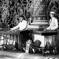 Ксилофон. :: Александр Ксилофон. :: Александр