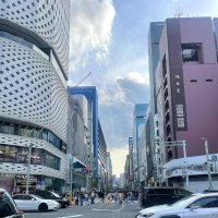 Улицы Токио :: Елена 