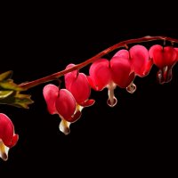 Разбитые сердца :: Юрий. Шмаков Разбитые сердца :: Юрий. Шмаков