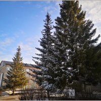 Апрельское утро :: Aquarius - Сергей Апрельское утро :: Aquarius - Сергей