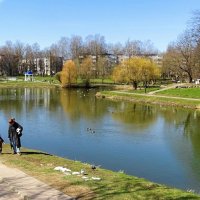 Весна вернулась после снегопадов. :: Милешкин Владимир Алексеевич Весна вернулась после снегопадов. :: Милешкин Владимир Алексеевич