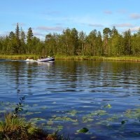 По Низьме :: Ольга По Низьме :: Ольга