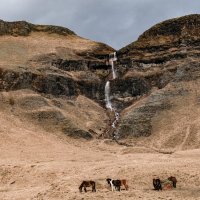 Лошади на фоне водопада Сидуфосс :: Георгий А