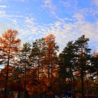 Под вечер :: Дмитрий Петров