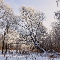 Пейзаж :: SanSan 