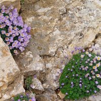 ПРОГУЛКА НА БОЛЬШОЙ ЧИМГАН - 2, с вершины. :: Виктор Осипчук